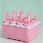 Home-made Ice-cream Mold Popsicle Popsicle