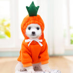 Dexo Warm Winter Fleece Clothes for Small Dogs & Cats